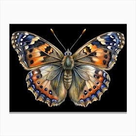 Watercolor Illustration Of A Painted Lady Butterfly On Black Background Canvas Print