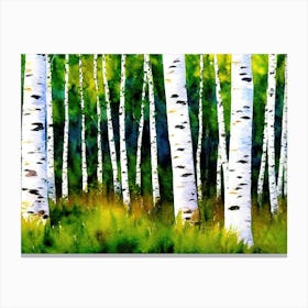 Birch Grove 1 Canvas Print