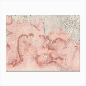 Abstract Pink Wall Canvas Print