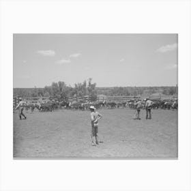 Untitled Photo, Possibly Related To Horses In The Corral, Cowboy Has Just Roped One Of Them, Cattle Ranch Near Canvas Print