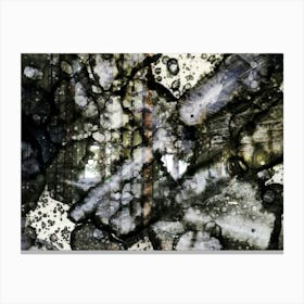 Abstraction Is A Historical Mystery Canvas Print