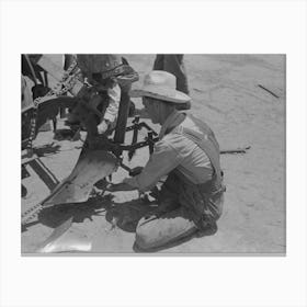 Day Laborer Adjusting Plow Points On Tractor Drawn Planter, Farm Near Ralls, Texas By Russell Lee Canvas Print