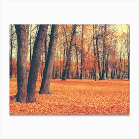 Autumn In The Woods Canvas Print