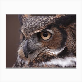 Great Horned Owl Canvas Print