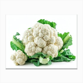 Cauliflower 11 Canvas Print