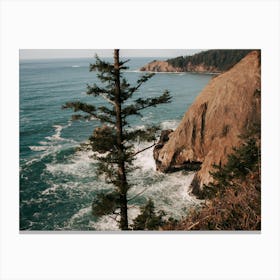 The Oregon Coast Canvas Print