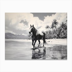 A Horse Oil Painting In Matira Beach, Bora Bora, Landscape 1 Canvas Print