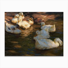 Vintage Ducks In The Pond 1 Canvas Print