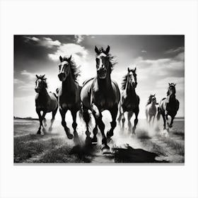 Horses galloping in a field. Canvas Print