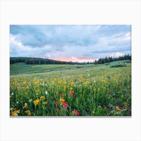 Flower Meadow Sunset Canvas Print