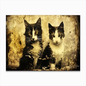 Antique Cats - Two Vintage Kittens Canvas Print