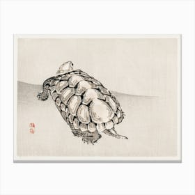 Turtle, Kōno Bairei Canvas Print