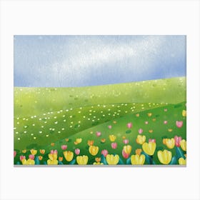 Tulips In The Field 2 Canvas Print