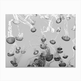 Floating Jellyfish Canvas Print