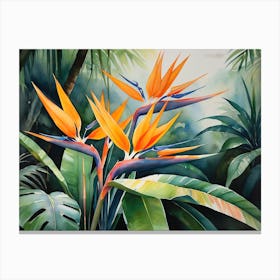 Strelitzia Flowers Canvas Print