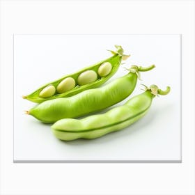 Pea Pods Isolated On White Background Canvas Print