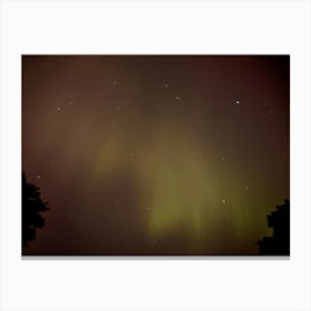 Green and pink Aurora Borealis Canvas Print