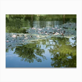 Water lilies and reflection of trees in a pond Canvas Print