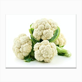 Cauliflower On White Background 3 Canvas Print