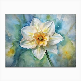 Daffodil 1 Canvas Print