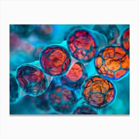 Cell Structure Canvas Print