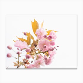 Pink Flowers During Springtime Canvas Print