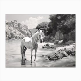 A Horse Oil Painting In Cala Macarella, Spain, Landscape 4 Canvas Print