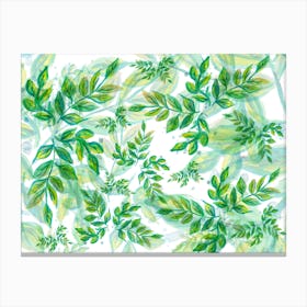 Green Leaves On A White Background Green Pattern Nature Plant Canvas Print