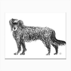 Dirty Dog - Anton Maliar drawing black and white minimal animal pet pencil graphite Canvas Print