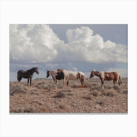 Onaqui Wild Horses Canvas Print