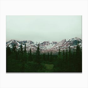 Alaska Daydreams Canvas Print