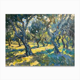 Olive Trees 1 Canvas Print