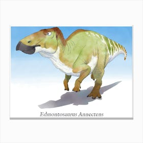 Edmontosaurus Annectens Canvas Print
