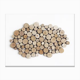 Wood Collection Canvas Print