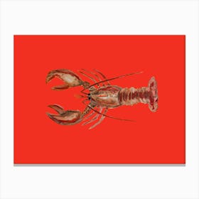 Red Lobster Canvas Print