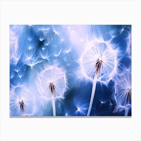 Dandelions In Flight 3 - Puffs In The Wind Canvas Print