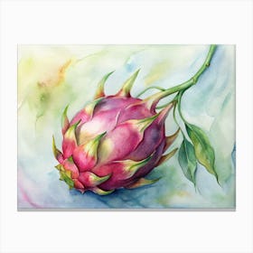 Dragon Fruit Canvas Print