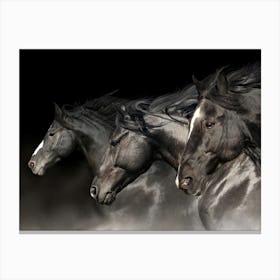 Three Horses Canvas Print