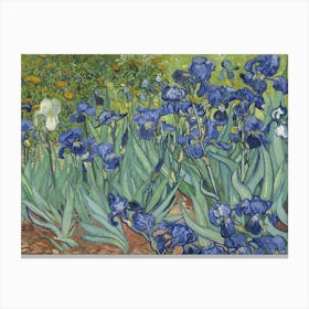 Irises, By Vincent Van Gogh, 1889, Dutch Post Impressionist Painting, Oil On Canvas Canvas Print