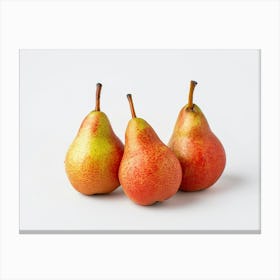 Three Pears 2 Canvas Print