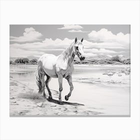 A Horse Oil Painting In Whitehaven Beach, Australia, Landscape 3 Canvas Print