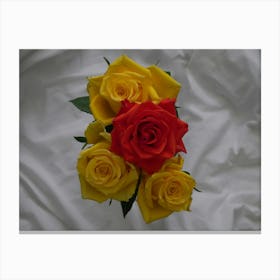 4roses 104657 Toile