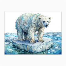 Polar Bear Watercolor Illustration Canvas Print