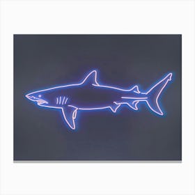 Neon White Tip Reef Shark 2 Canvas Print