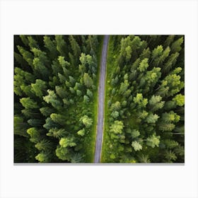 An Aerial View Capturing The Blinding Beauty Of A Life Filled Forest In Sweden Sprawling Spruce And (3) Canvas Print