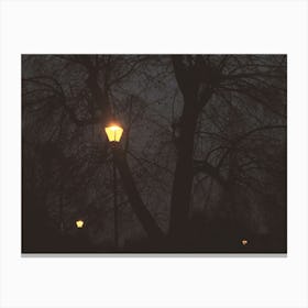 Victorian Lamp Posts and Spooky Trees at Night in Enfield Town, London Canvas Print