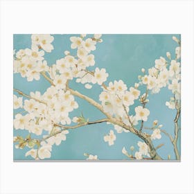 White Cherry Blossoms Canvas Print