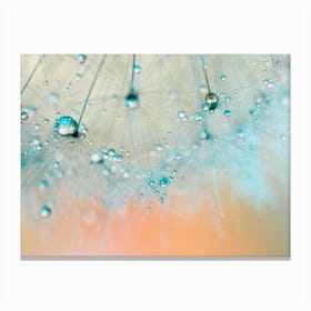 Dandelion -Droplets of Aqua Canvas Print