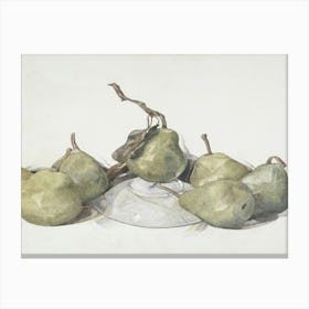 Pears 5 Canvas Print