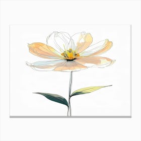 Peony Canvas Print